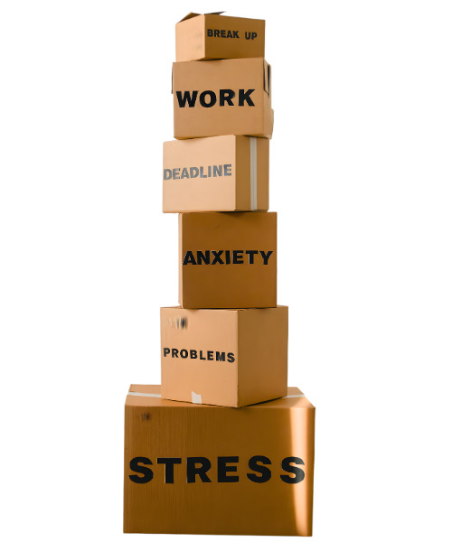 Comfortably Free Organizing Expert Decluttering